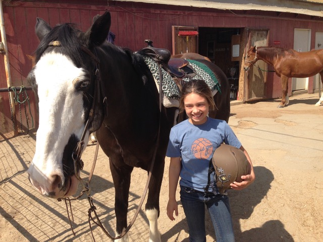 Child standing next to a horse